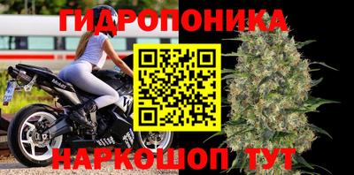 крисы Нарткала