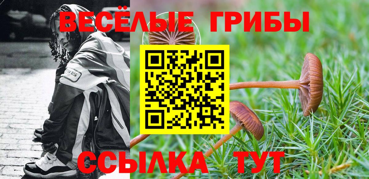 Советск  Галлюциногенные грибы мицелий  Галлюциногенные грибы Psilocybine cubensis  Вход с VPN 