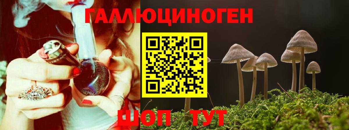 Галлюциногенные грибы Magic Shrooms Советск