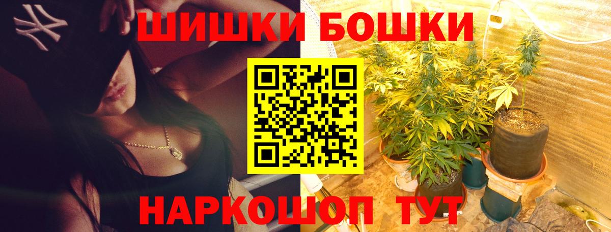 Конопля сатива Советск